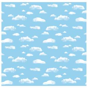 lot 31838 image: Pacon� Fadeless� Design Roll 48 x 50 Clouds