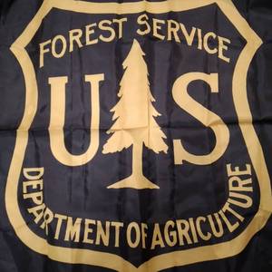 lot 1143 image: FOREST FLAG
