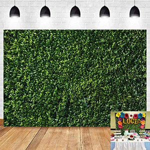 lot 5213 image: 3D Green Leaves Photography Backdrops Spring Nature Outdoorsy Newborn Baby Shower Backdrop Wall Art Wedding Birthday Party Decoration Photo Background Studio Props Cake Table Booth 3.4 x unknown
