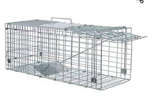lot 37458 image: ANT MARCH Live Animal CageChipmunks, Groundhog Squire,91X30,5X5,5CM
