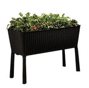 lot 84093 image: Keter Resin Elevated Garden, All Weather, Self-Watering Plastic Planter, Brown Rattan