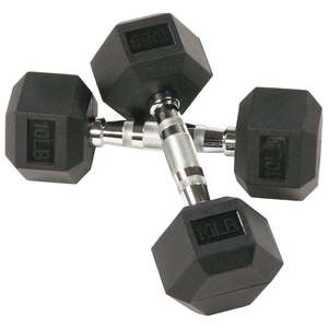lot 3956 image: 10 lbs Dumbells