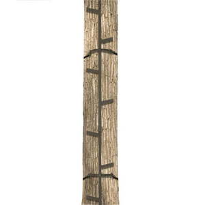 lot 1934 image: Big Game Quick-Stick Climbing System CS050 (B00JG5MMK6)