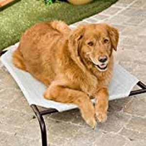 lot 59507 image: The Original Coolaroo Elevated Pet Dog Bed for Indoors & Outdoors Large Gray