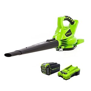 lot 5277 image: Greenworks 40V (185 MPH  340 CFM) Brushless Cordless Blower  Vacuum, 4.0Ah Battery and Charger Included
