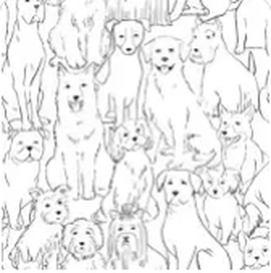 lot 2510 image: NuWallpaper Black & White Paws On Peel and Stick Wallpaper