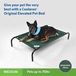 lot 2607 image: Coolaroo The Original Cooling Elevated Pet Bed