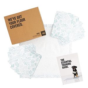 lot 2668 image: Barkbox Odorless Puppy Pads  100 Count  Quick Dry, Ultra Absorbent Dog Pee Pads, Pet Training Accessories for Housebreaking, Pheromone Attractant  Basic  Regular