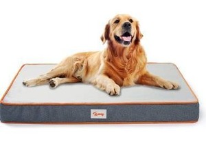 lot 2710 image: Toozey Orthopedic Memory Foam Dog Beds for Large Medium Small Dogs, 2-Layer Thick High-Density Mattress Washable Dog Crate Bed with Removable Cover and Waterproof Liner, Premium Plush Dog Mat