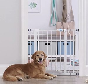 lot 2747 image: Carlson Extra Wide Walk Through Pet Gate with Small Pet Door, Includes 4-Inch Extension Kit, Pressure Mount Kit and Wall Mount Kit