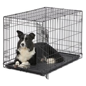 lot 2801 image: MidWest Single Door iCrate Metal Dog Crate 36