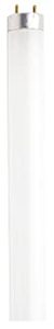 lot 2864 image: Satco S8404 24-Inch 3000K 17-Watt Medium Bi Pin T8 InstantRapid Start Energy Saving Lamp, Warm White (B008411RA4)