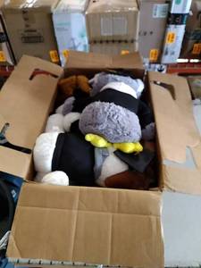 lot 45201 image: Miscellaneous box of 2022 graduation items