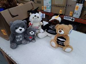 lot 45202 image: Miscellaneous box of 2022 graduation stuffed animals