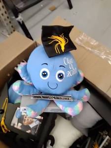 lot 45242 image: Miscellaneous box of 2022 graduation items