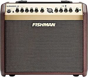 lot 31333 image: Fishman PRO-LBT-500 Loudbox Mini Acoustic Guitar Bluetooth Amplifier (B07NDXX7BM)