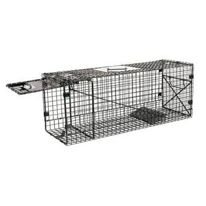 lot 31986 image: 32 Medium Folding Live Trap