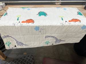 lot 31115 image: Weighted Baby Blanket Dinosaurs 45x34
