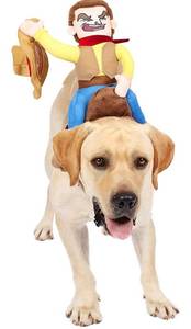 lot 31158 image: Halloween Cowboy Rider Dog Pet Costume for Halloween Dress-up Party, Role Play Size Large