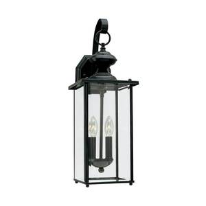 lot 47005 image: Sea Gull Lighting - Two Light Outdoor Wall Fixture in Transitional Style - 7