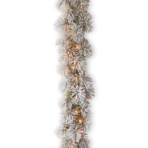 lot 47423 image: National Tree Company Pre-Lit Artificial Christmas Garland, Green, Glittery Bristle Pine, White Lights, Decorated With Frosted Branches, Plug In, Christmas Collection, 9 Feet