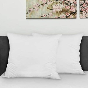 lot 5697 image: 2 Large Square Pillows