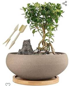 lot 51150 image: MUZHI Round Unglazed Ceramic Bonsai Pot with Bamboo Tray, Large Rough Pottery Succulent Planter with Drainage Hole 8 inch