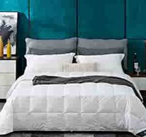 lot 76501 image: Globon White Goose Down ComforterBlanket Queen Duvet Insert Lightweight Summer, Noiseless & Extra Soft Down-Proof Shell, 400 Thread Count, 14OZ, 750 Fill Power, with Ties, Solid White��