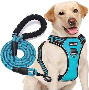 lot 76573 image: TOBIDRI SMALL PET HARNESS AND LEASH