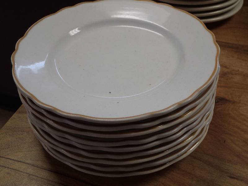 lot 1777 image: Lot Of (9) Buffalo China 9.5 Round Dinner Plates