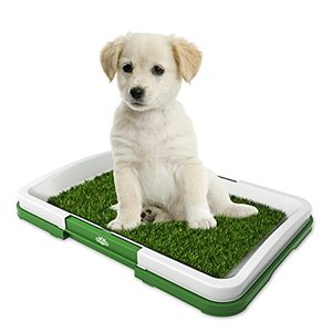 lot 9075 image: Artificial Grass Bathroom Mat for Puppies and Small Pets- Portable Potty Trainer for Indoor and Outdoor Use by Petmaker- Puppy Essentials, 18.5�� x 13��