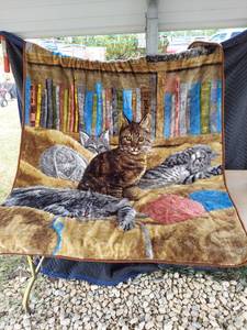lot 3760 image: throw blanket 48x60