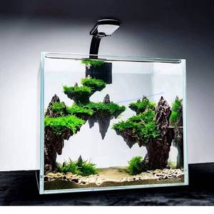 lot 1811 image: Allcolor Ultra Clear Rimless Aquarium Tank 2-22 gallons Low Iron Glass (4.6Gal)