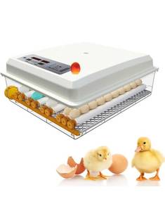 lot 1937 image: AKWIN Egg Incubator Automatic Incubators for Hatching Eggs Turning Chicken Quail Duck Humidity Control 64 Eggs. Retails $124