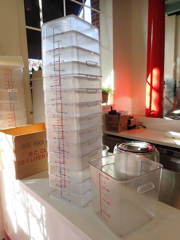lot 1900 image: Lot Of (12) 8quart Clear Plastic Measuring Food Containers With Lids