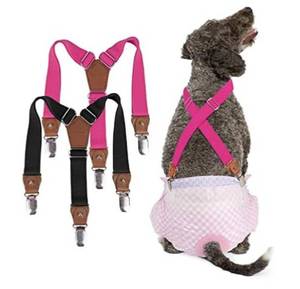 lot 4054 image: Dog Suspenders