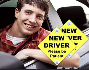 lot 4065 image: New Driver Signs