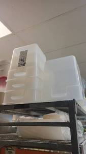 lot 10186 image: Lot of 6 Large 18 Quart Cambro Food Storage Container W Lids