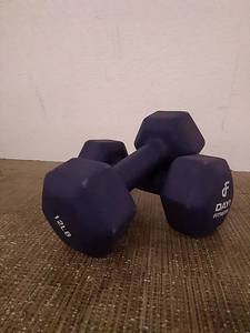 lot 49273 image: Day1 Fitness dumbbell pair 12 lbs, Dark blue