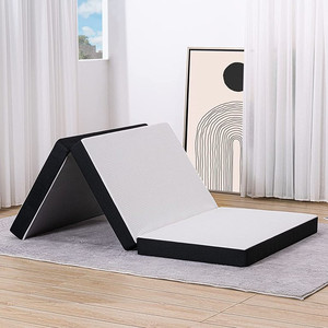 lot 49401 image: S SECRETLAND Folding Mattress, Portable Tri-fold Gel Memory Foam Mattress Topper with Washable Cover, 3-Inch Small Twin Size (Fold-Up & Fold-Out) Camping, Play, Reading, Road Trip, Black  (25 x 75 x 3)   (Retails $97.99)