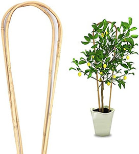 lot 50083 image: Cambaverd Natural Bamboo Plant Trellis U-Hoop 4 Feet Arch Bamboo Garden Trellis Support for Climbing Plants Outdoor Vines Ivy Plants Climbing Flowers Plant Tower   (Pack of 3 Hoops)
