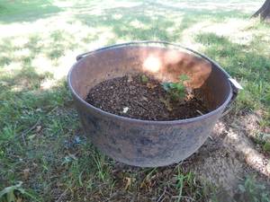 lot 2786 image: Large Iron Pot