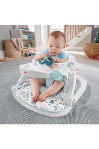 lot 40810 image: Fisher-Price Pacific Pebble SitMeUp Floor Seat