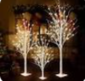 lot 6129 image: Warm White Birch Trees 3 Pack