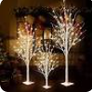lot 6139 image: 3 Lighted Birch Trees