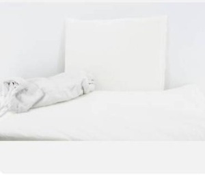 lot 6198 image: AAAAAcessories AOC-CL-QianHui-72 Outdoor Chaise Lounge Cushions Patio Furniture