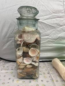 lot 3948 image: large jar of sea shells