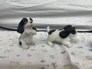 lot 4029 image: pr homco black white dogs