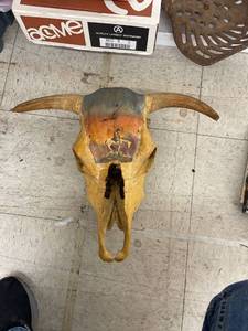 lot 4140 image: hand painted bull skull with clock