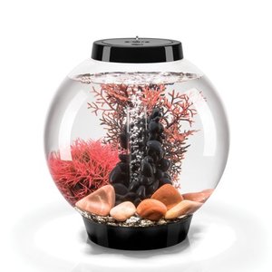 lot 6915 image: biOrb CLASSIC Aquarium with All Decor and Accessories Included - White LED Light 4 gallon Black - Stone River,, 10 x 13